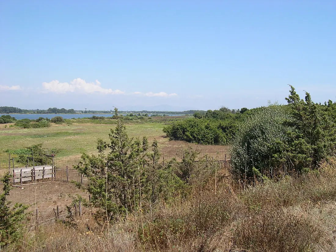 Lago fogliano duna litoranea
