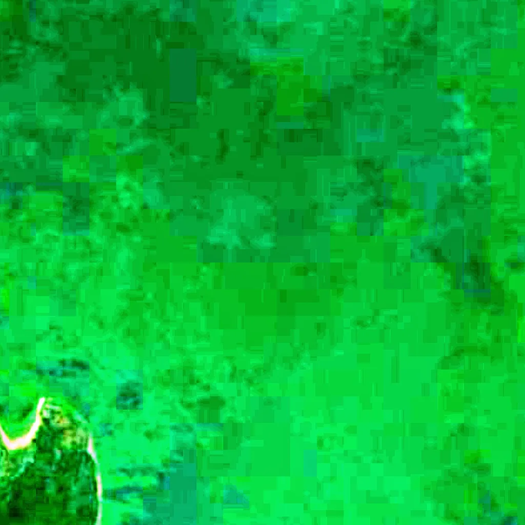 Lago George visto desde arriba (Sentinel-2)