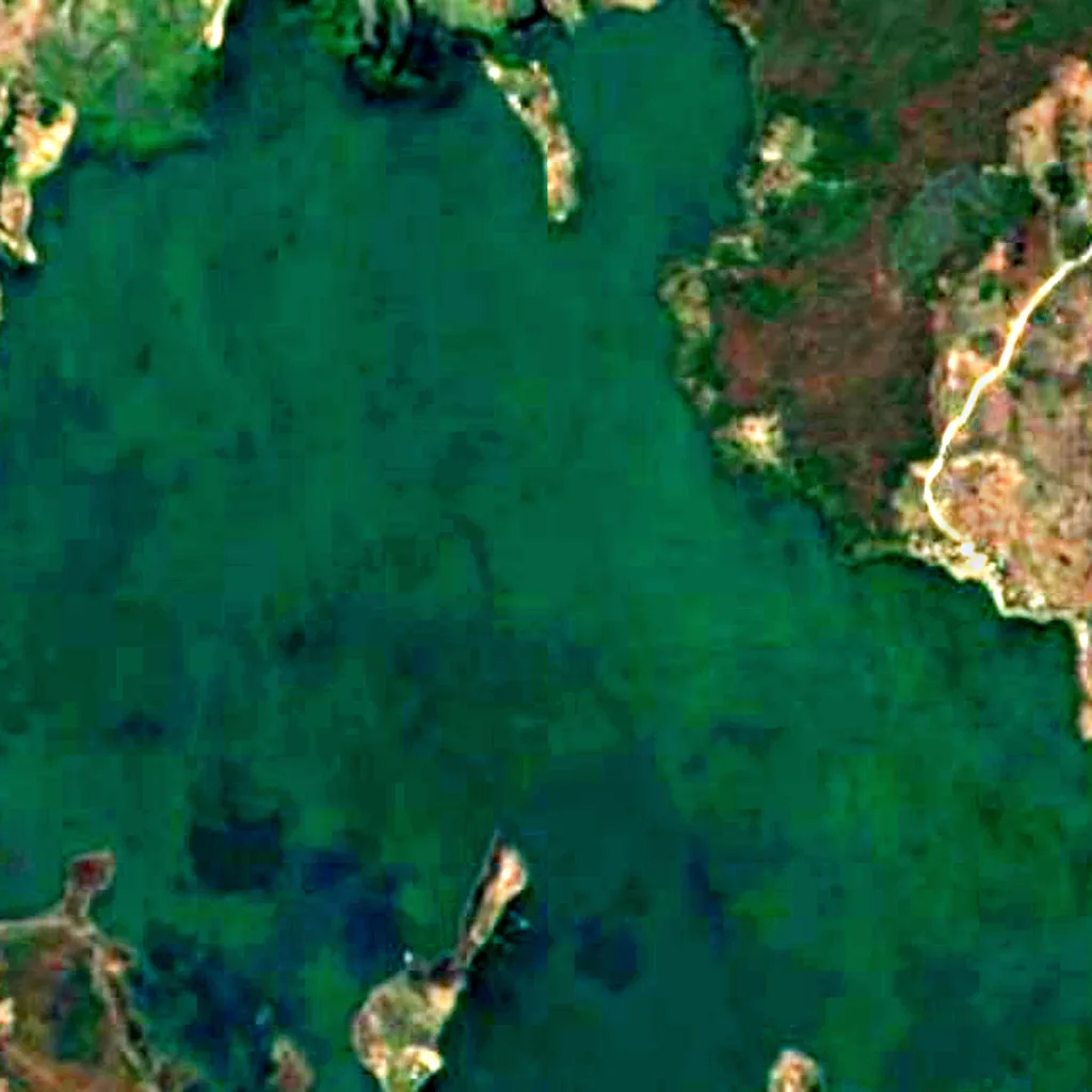 Lake Güija seen from above (Sentinel-2)