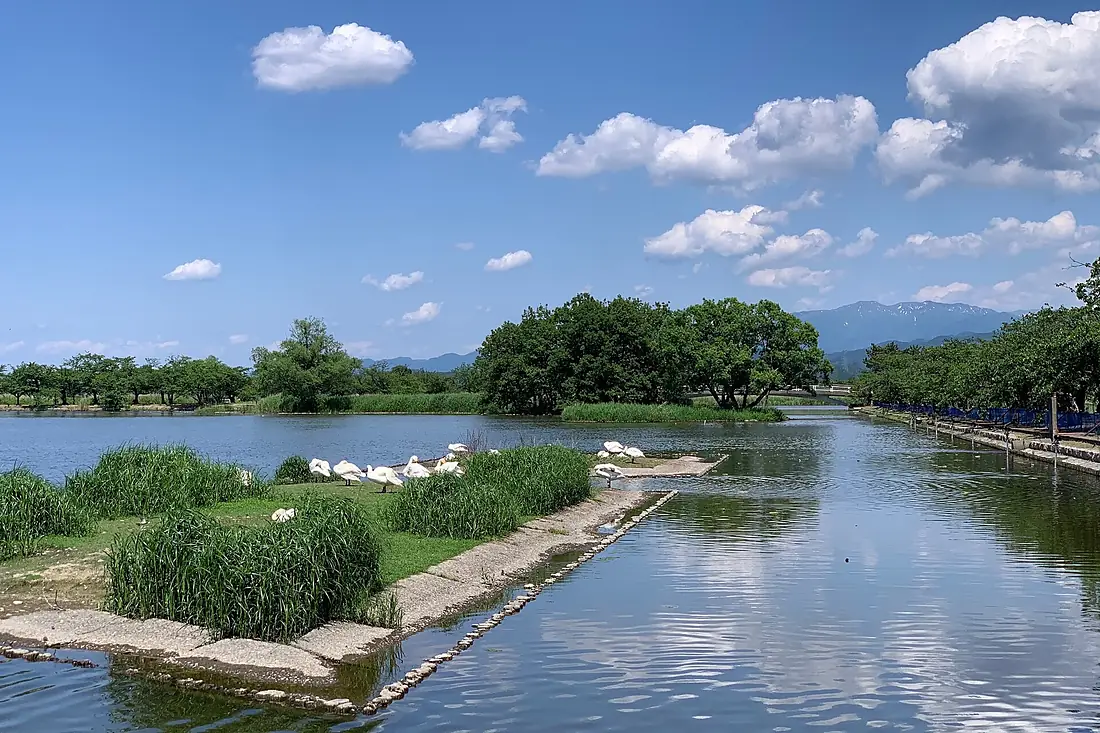 Lake Hyoko 001 May2020