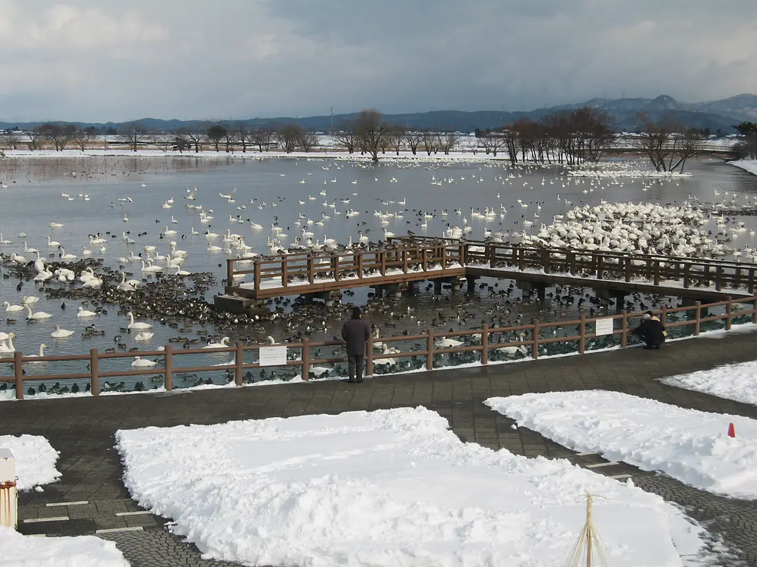 Lake Hyōko 02