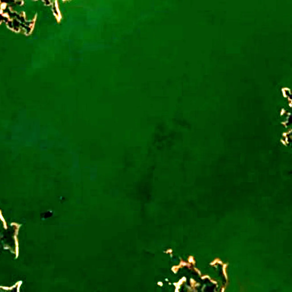 Lac Kinkony vu d'en haut (Sentinel-2)
