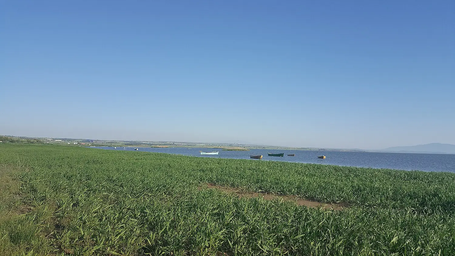 Balıkesir Manyas 2018 Nisan 1