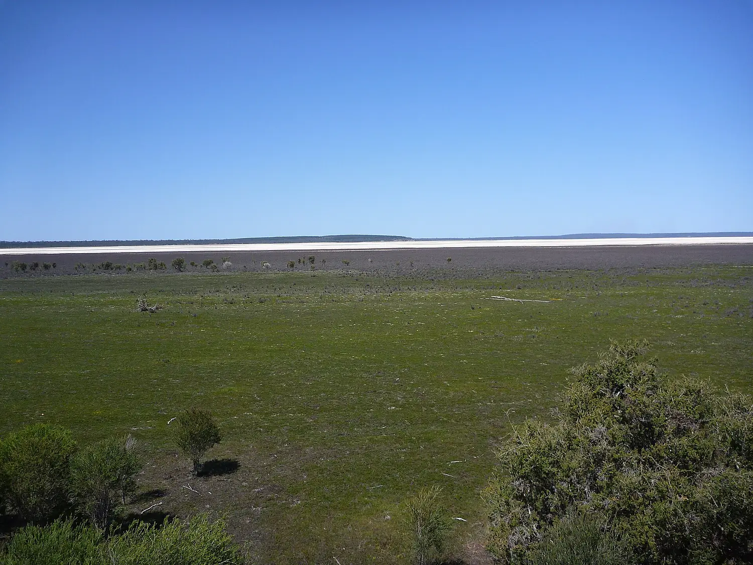 Lakemuir