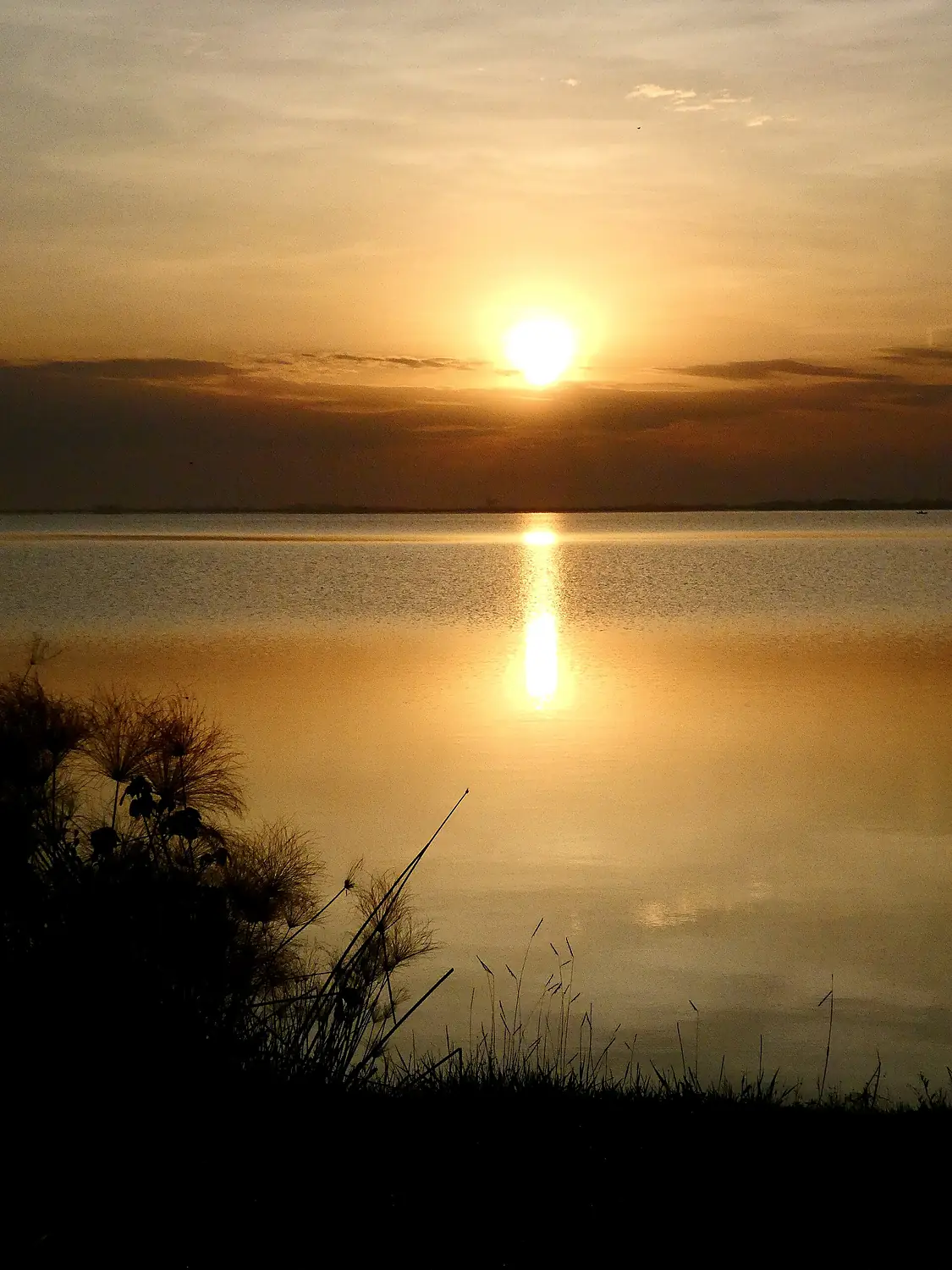 Sunrise at Nabugabo