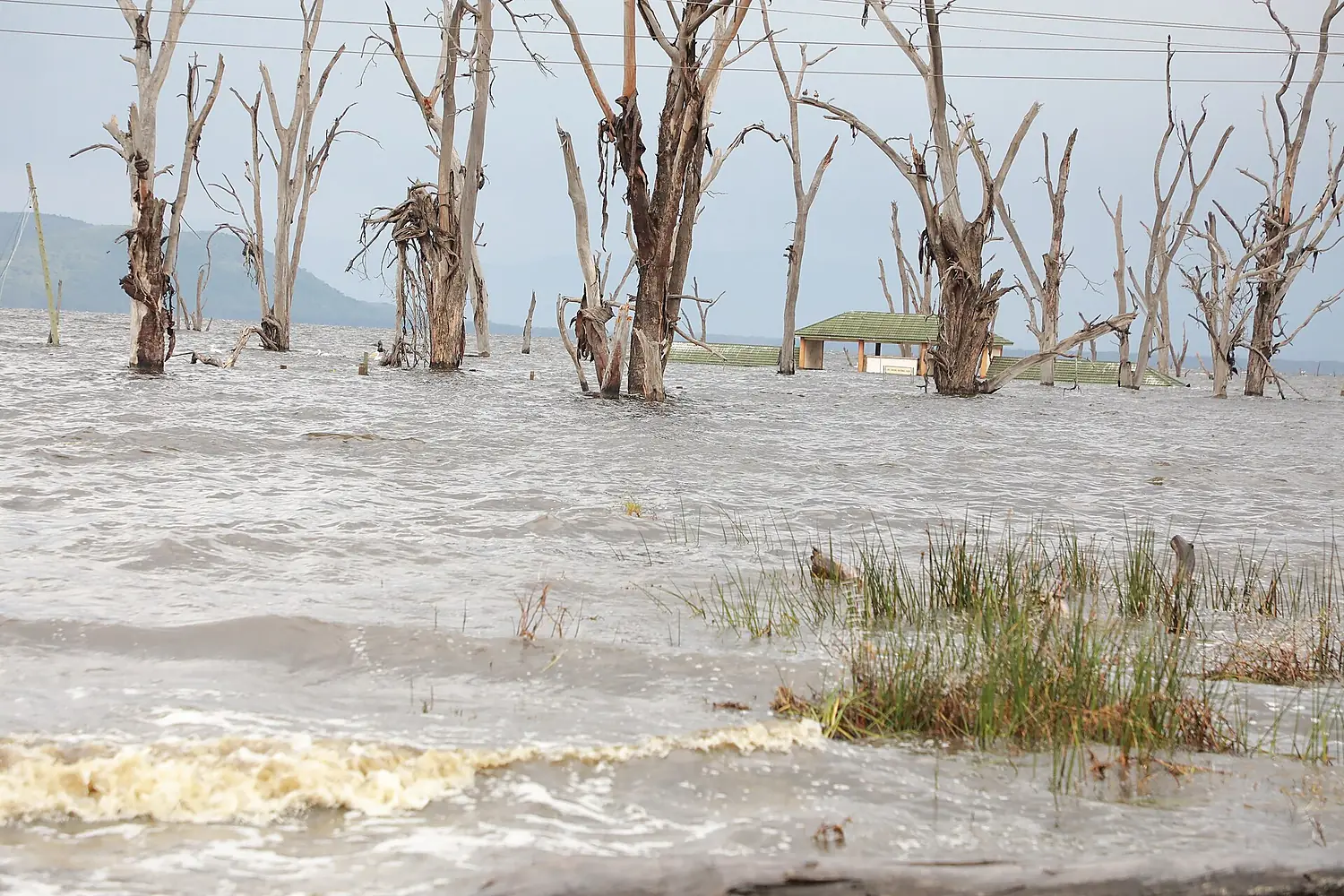 Lake Nakuru National Park-Kenya