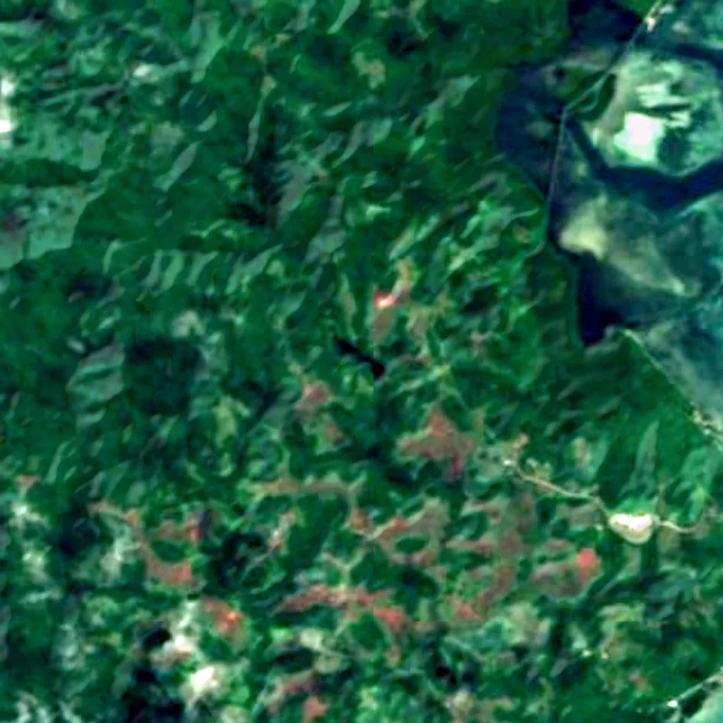 Lago Ngardok visto desde arriba (Sentinel-2)