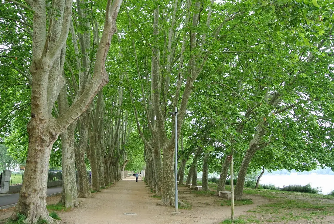 17820 Banyoles, Girona, Spain - panoramio
