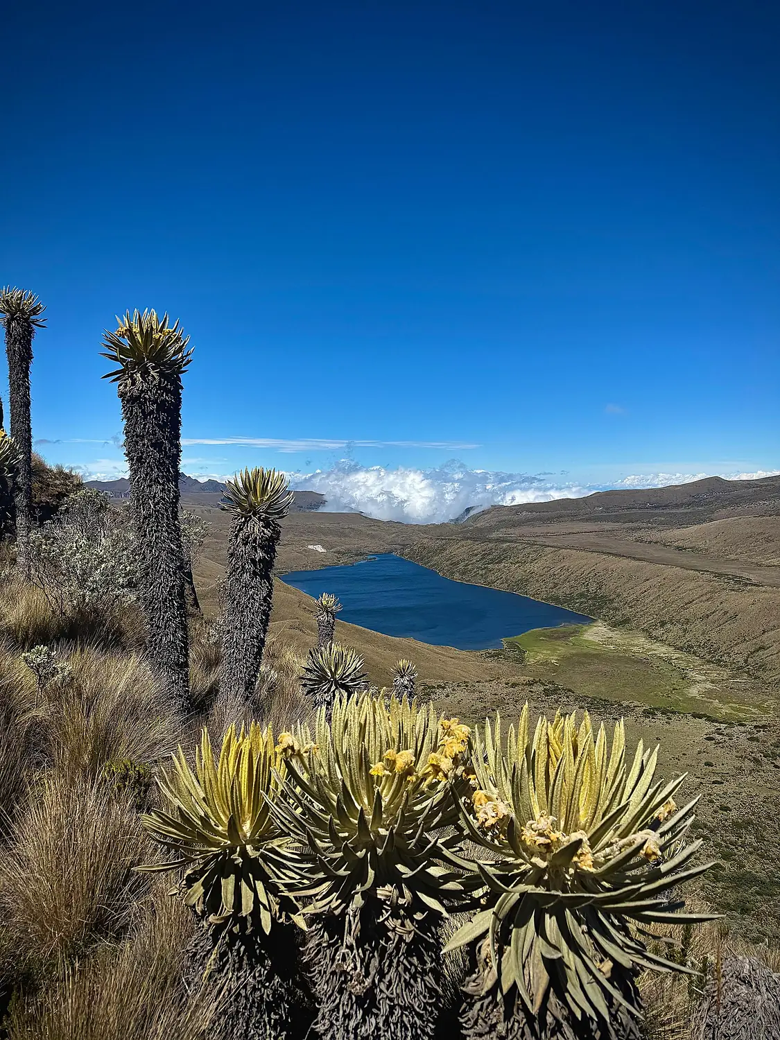 La Laguna del Otún