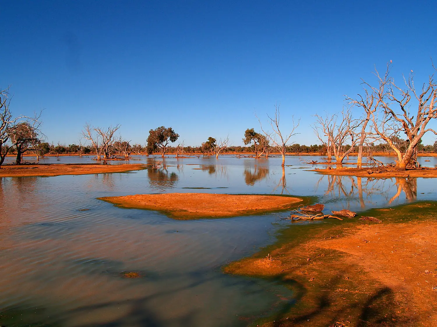 Lake Pinaroo July 2011