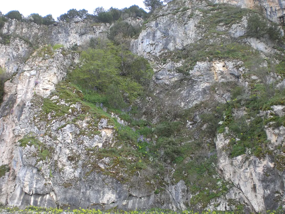 Scale Megaln Prespa Limvn