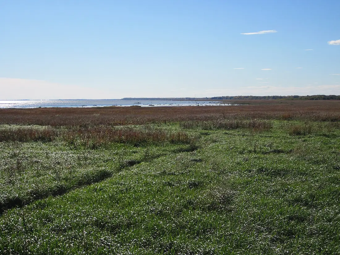 Lac Saint-Pierre Pointe-Yamachiche 01