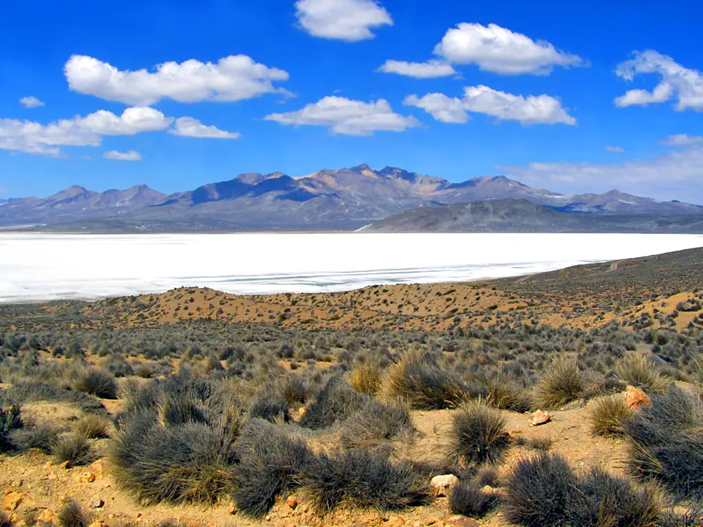 Laguna Salinas, Peru