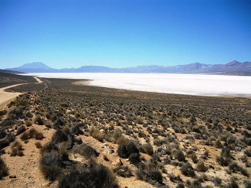 Laguna de Salinas