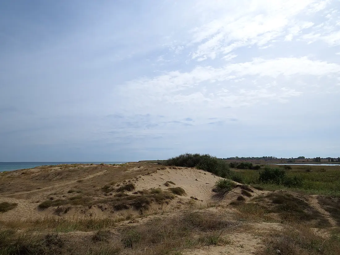 Wild beach near Shabla (AP4P1283) (11177943145)