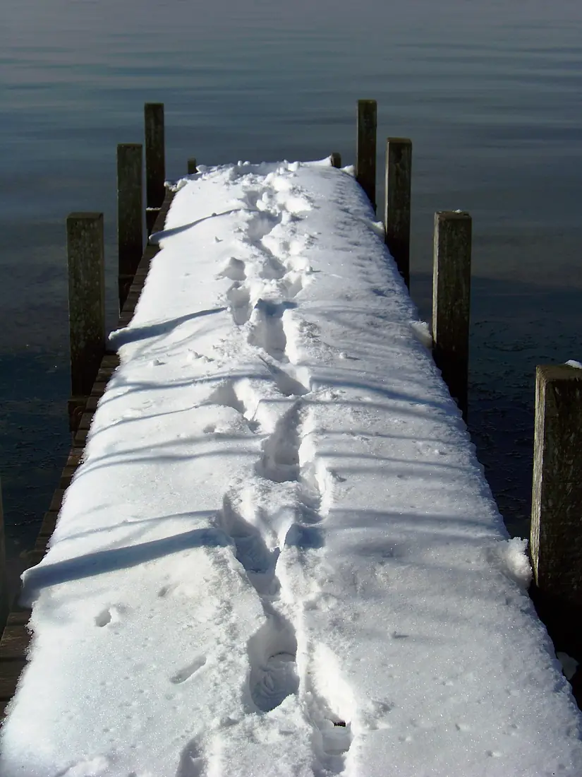 Spur auf einem Steg am Starnberger See
