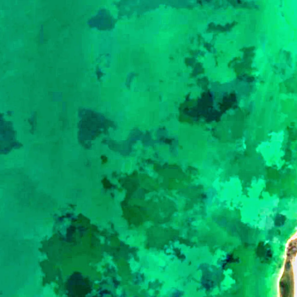 Lago Tengiz visto dall'alto (Sentinel-2)
