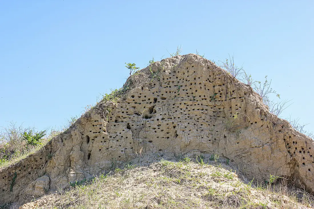 Lacurile Prutului de Jos 5607