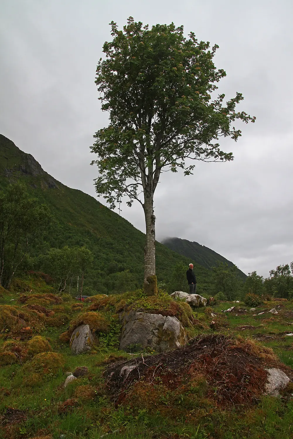 Austvågøya Nord-10-2019-gje