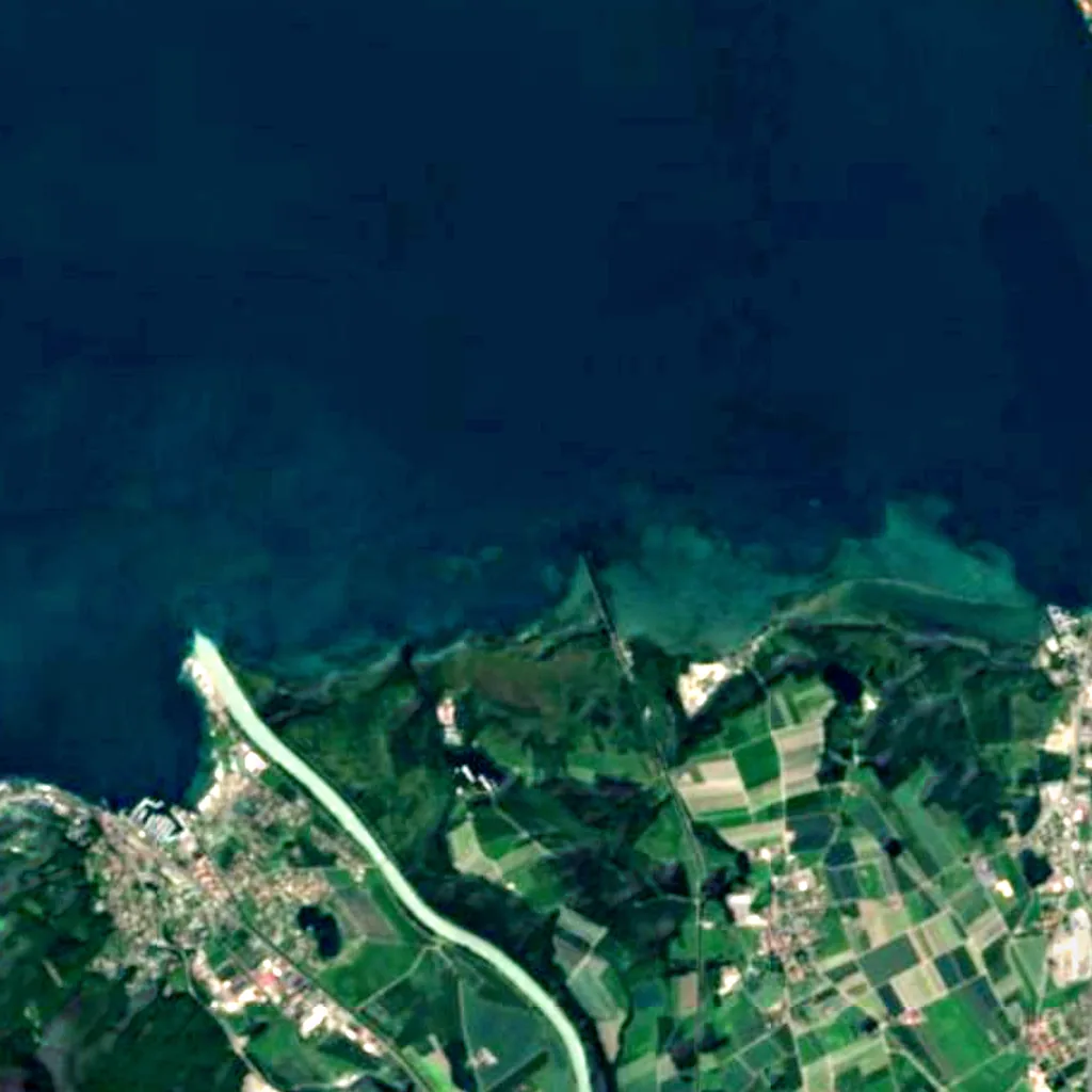 Les Grangettes seen from above (Sentinel-2)