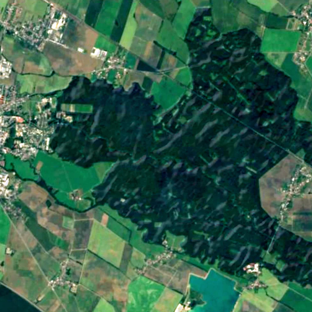 Litovelské Pomoraví Protected Landscape Area seen from above (Sentinel-2)