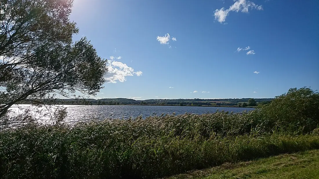Kis Balaton - Little Balaton1