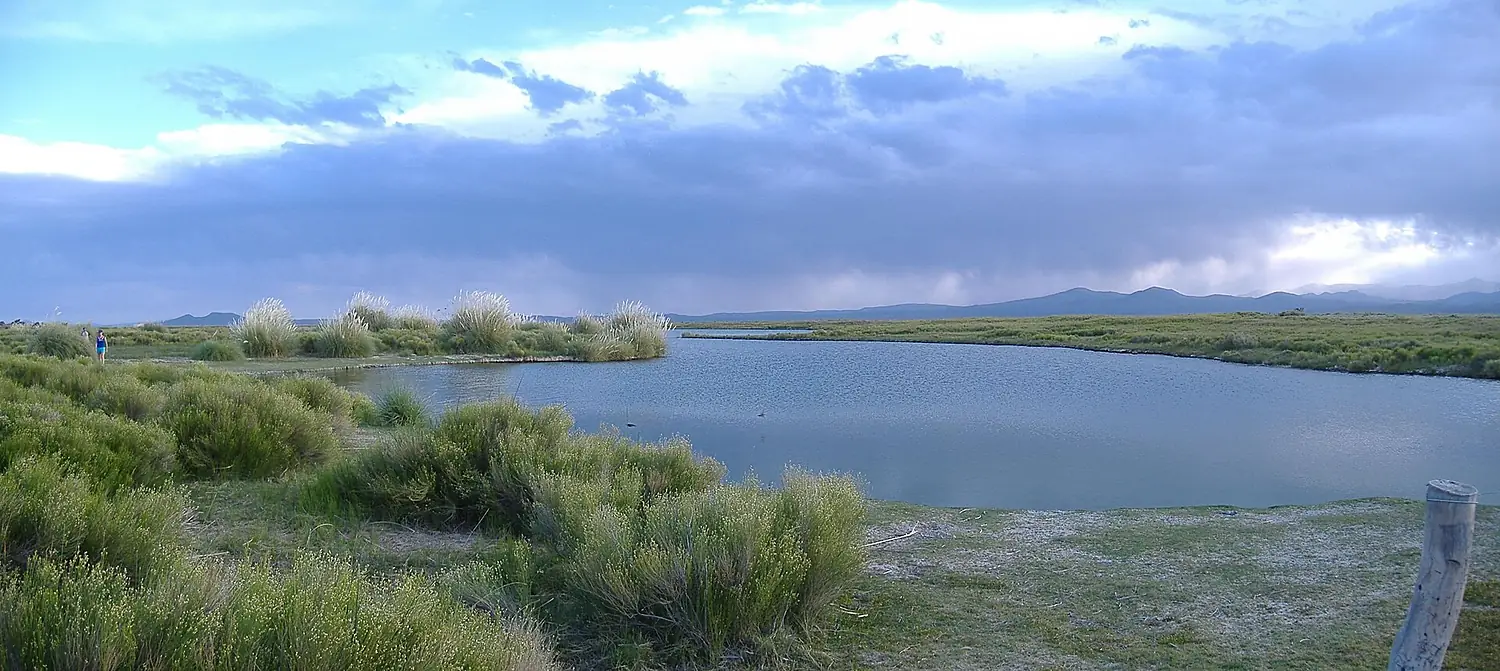 Laguna de Llancanelo (panorama)