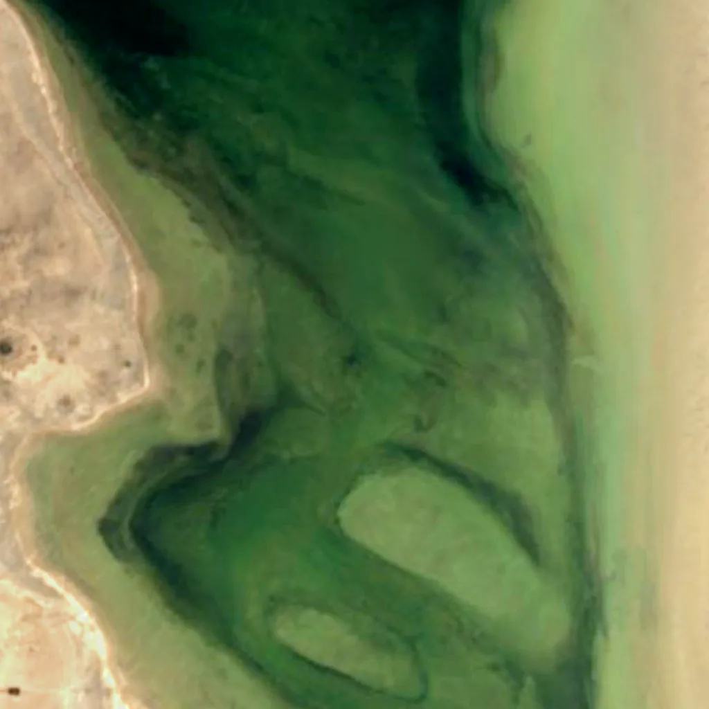 Llancanelo Lake von oben gesehen (Sentinel-2)