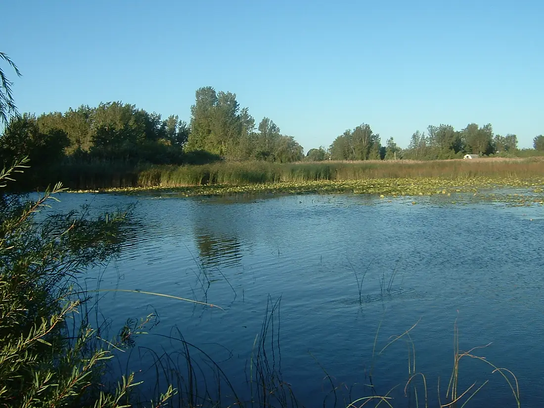 Long Point Marsh Channel