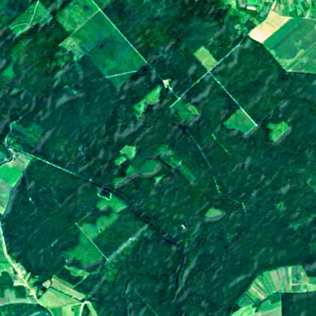 Naturpark Lonjsko polje von oben gesehen (Sentinel-2)