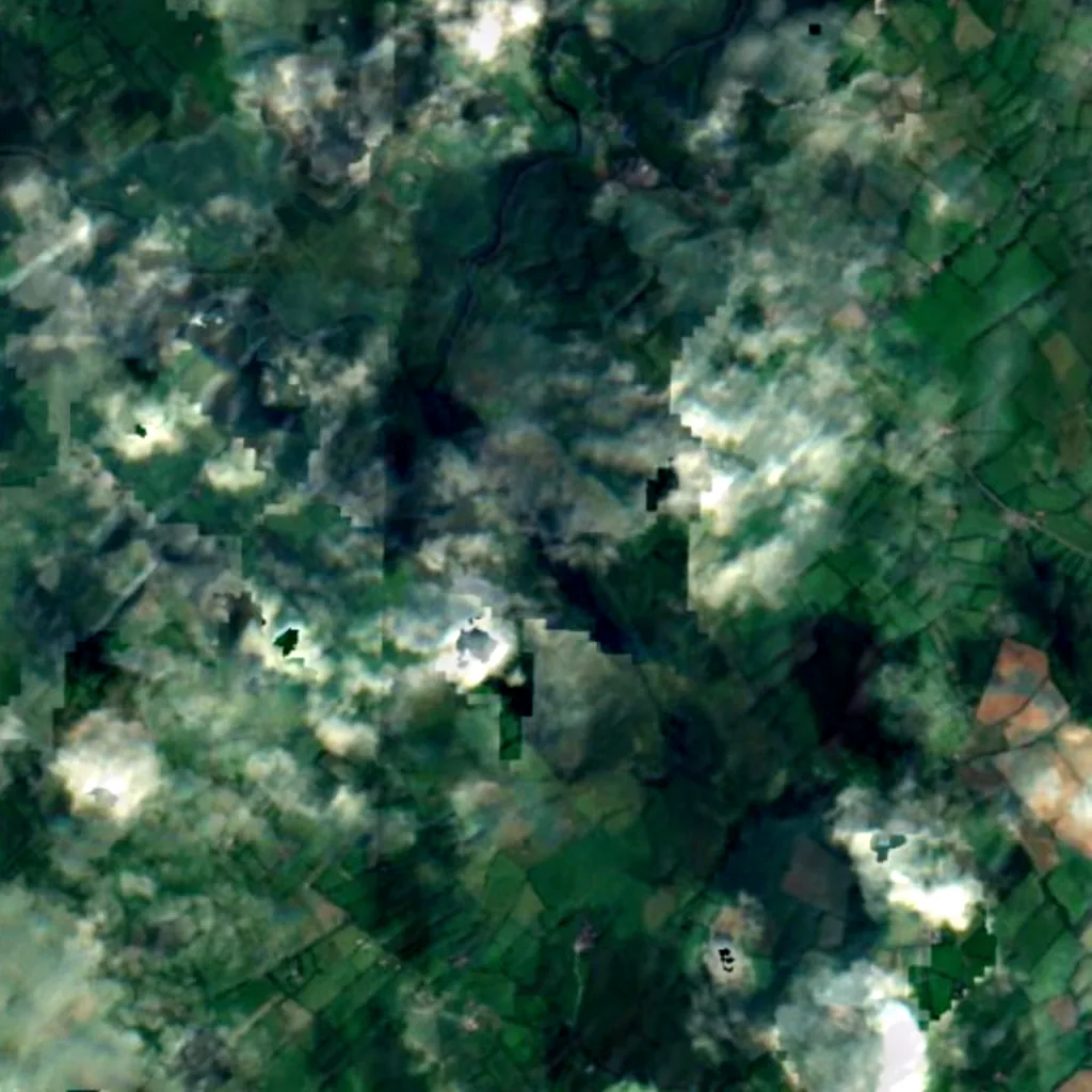 Lough Iron seen from above (Sentinel-2)