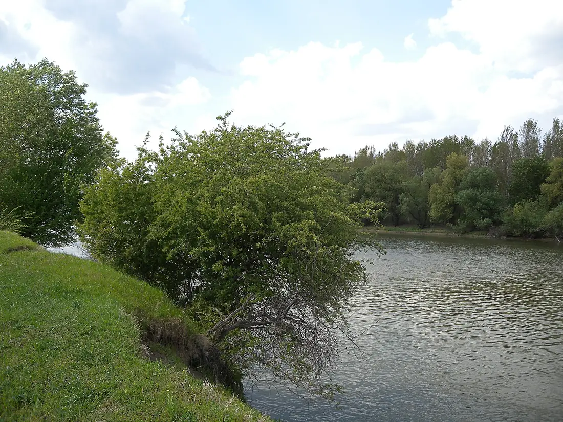 Берег Дністра, с. Чобручі (Молдова)