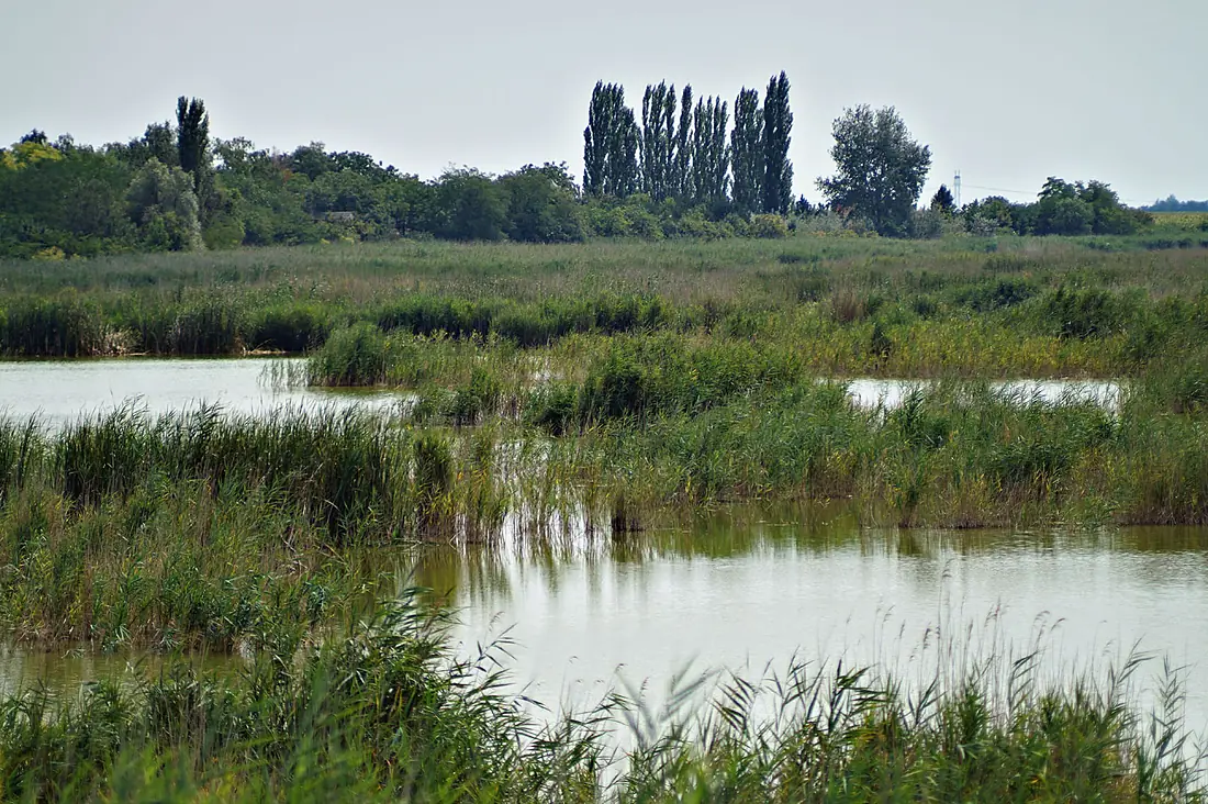 Special Nature Reserve Ludas lake
