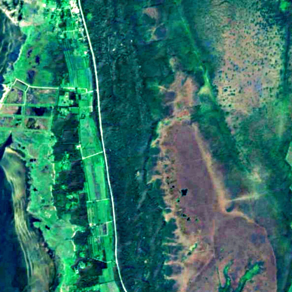 Réserve naturelle de Luitemaa vu d'en haut (Sentinel-2)