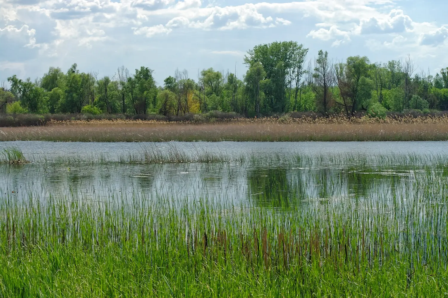 Lypivsky Preserve 03