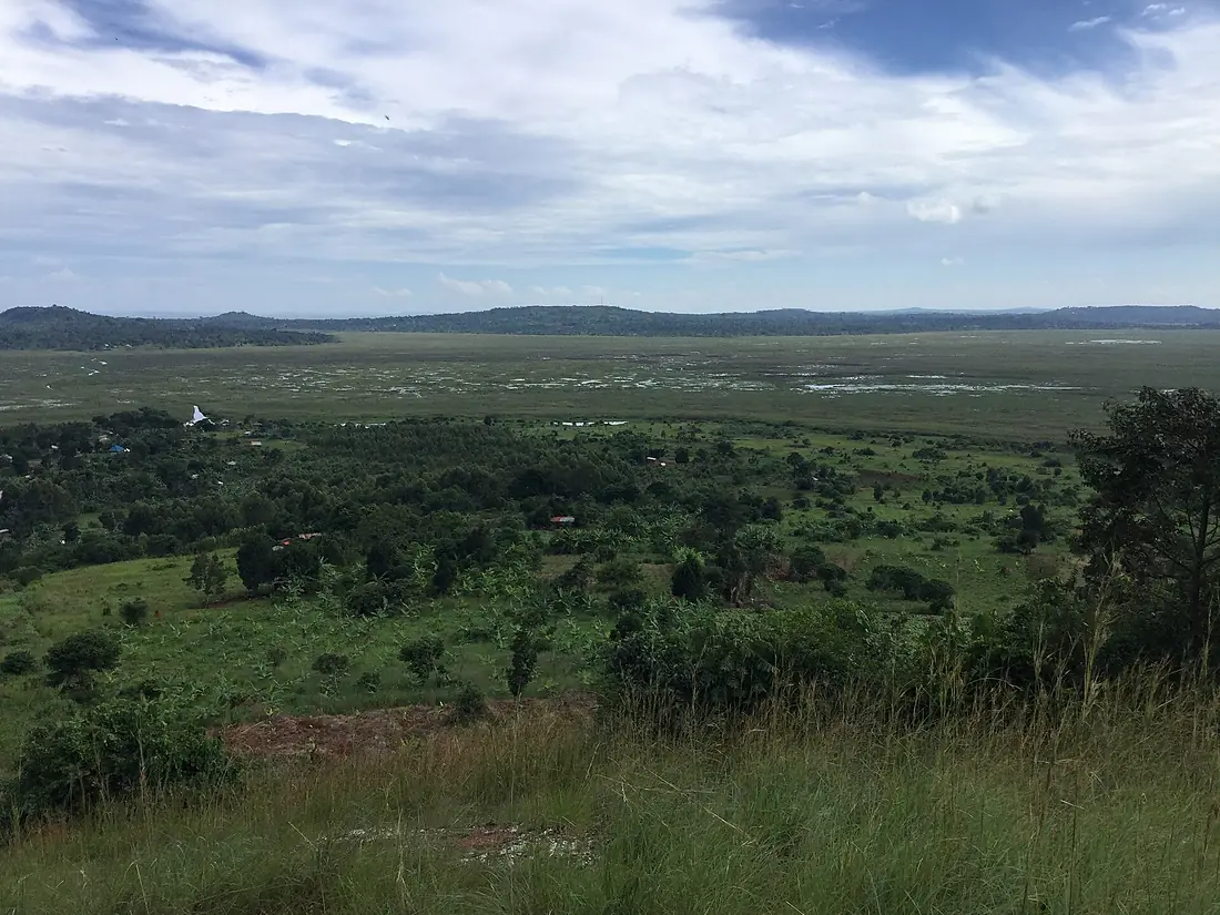 After heavy rains Mabamba bay ramsar site