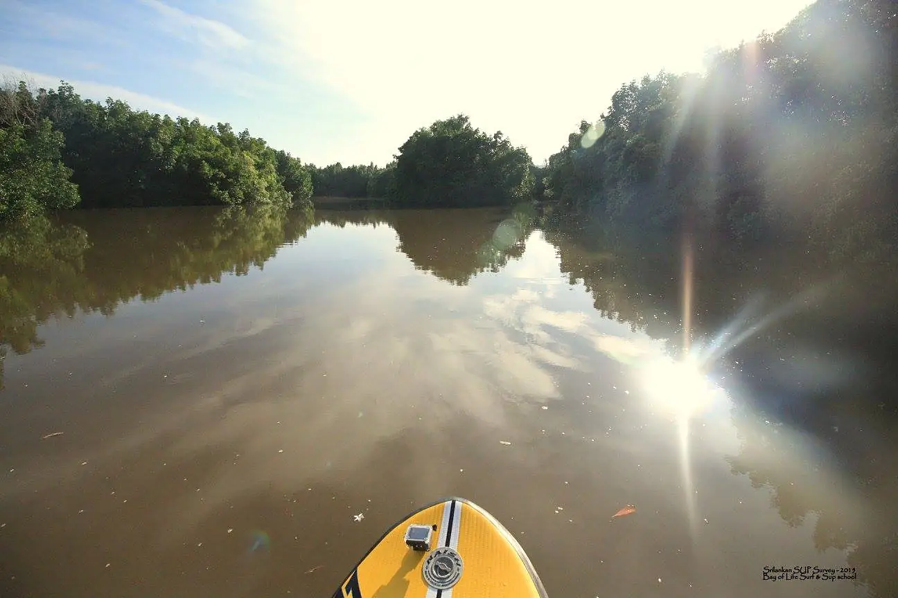 Standup Paddle - Madu Ganga Estuary - Srilanka - Kumaran