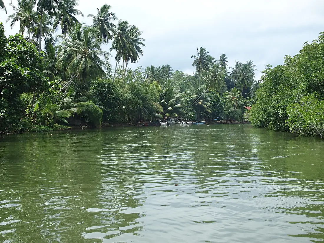 Madu Ganga