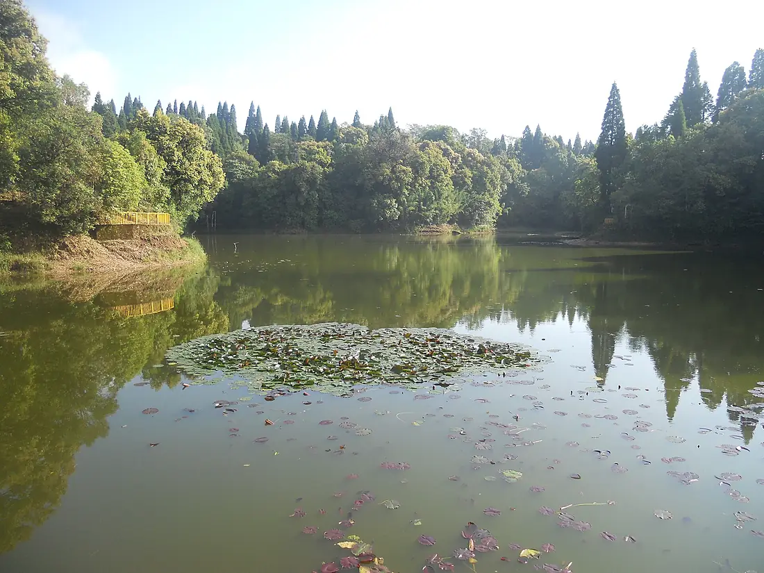 A beauty full view of maipokhari ilam nepal