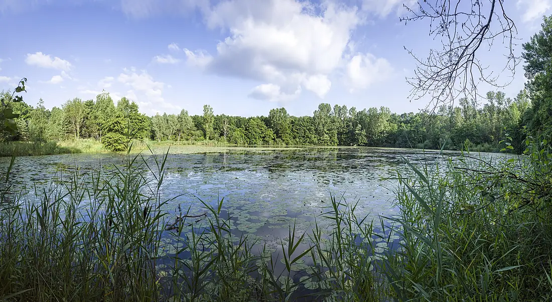 Der Kleine Tännigweiher von Südosten