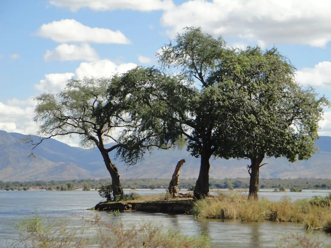 Island in the Zambezi River at Mana Pools National Park