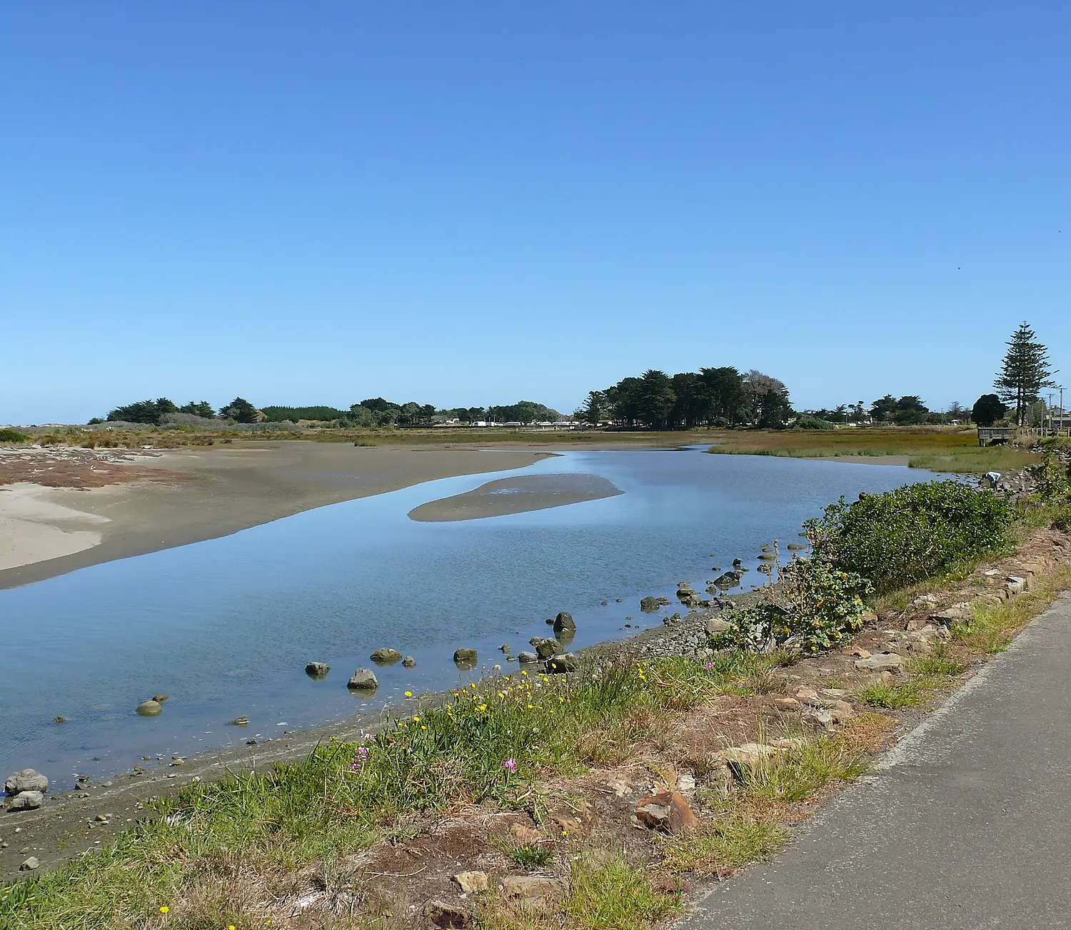 Manawatu Estuary 11