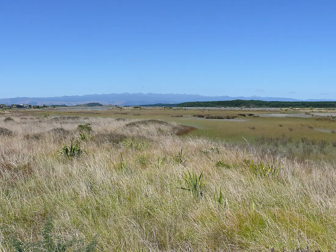 Manawatu Estuary 12