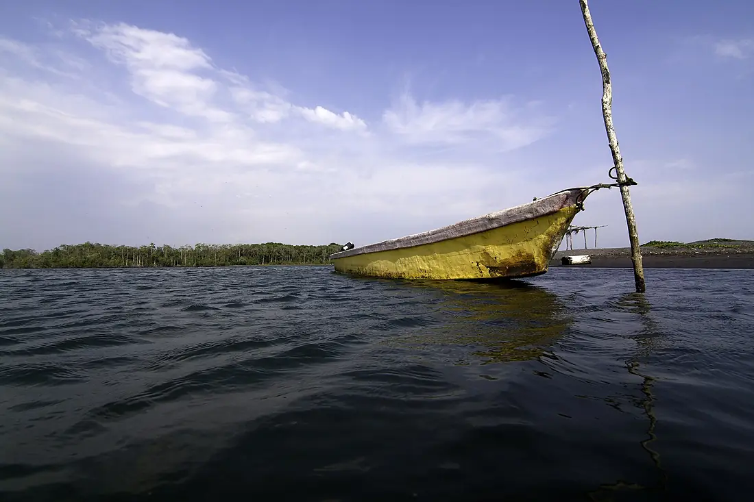 Manchón Guamachal boat and mangroves