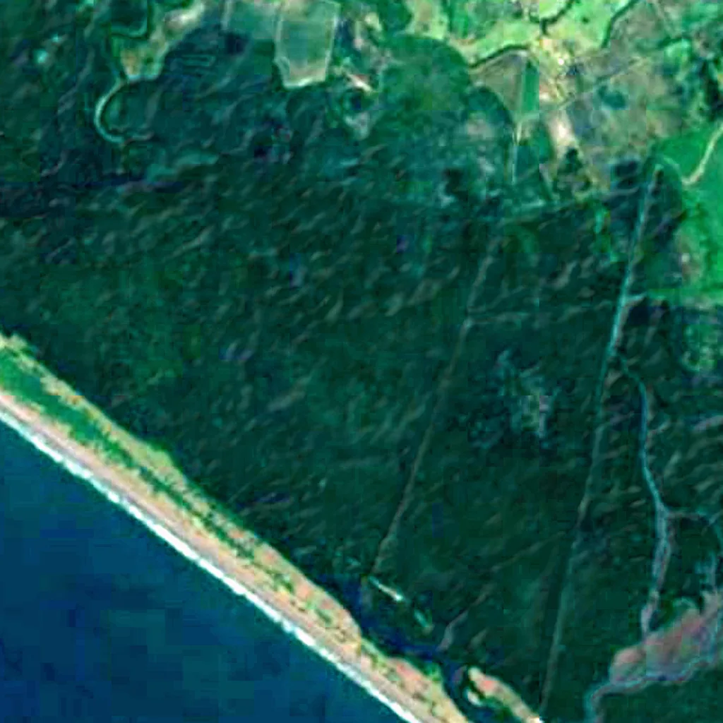 Manchón-Guamuchal seen from above (Sentinel-2)