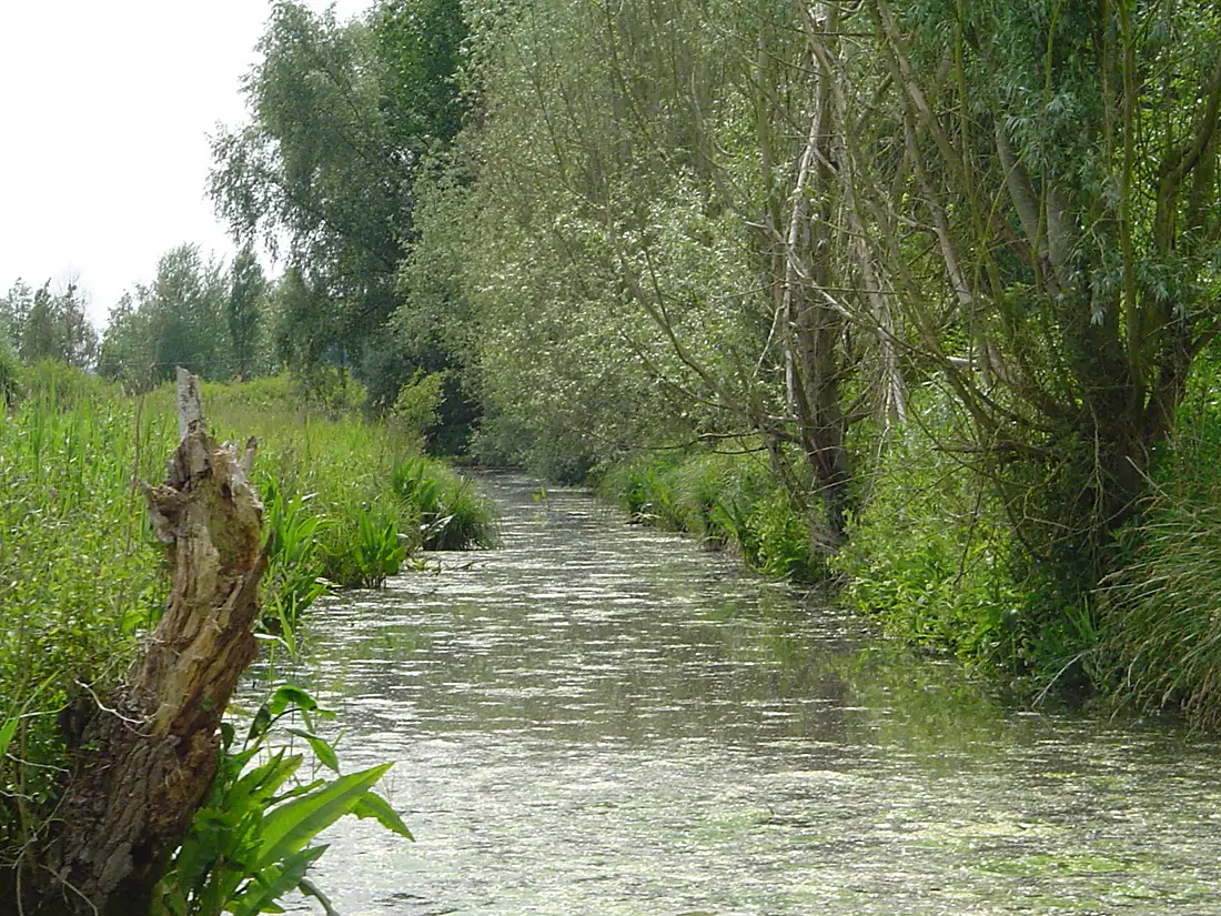 Marais Audomarois - 2