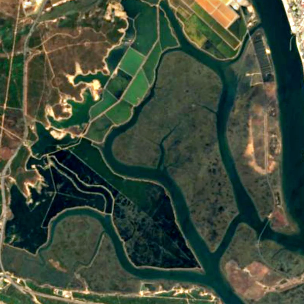 Marismas del Odiel seen from above (Sentinel-2)