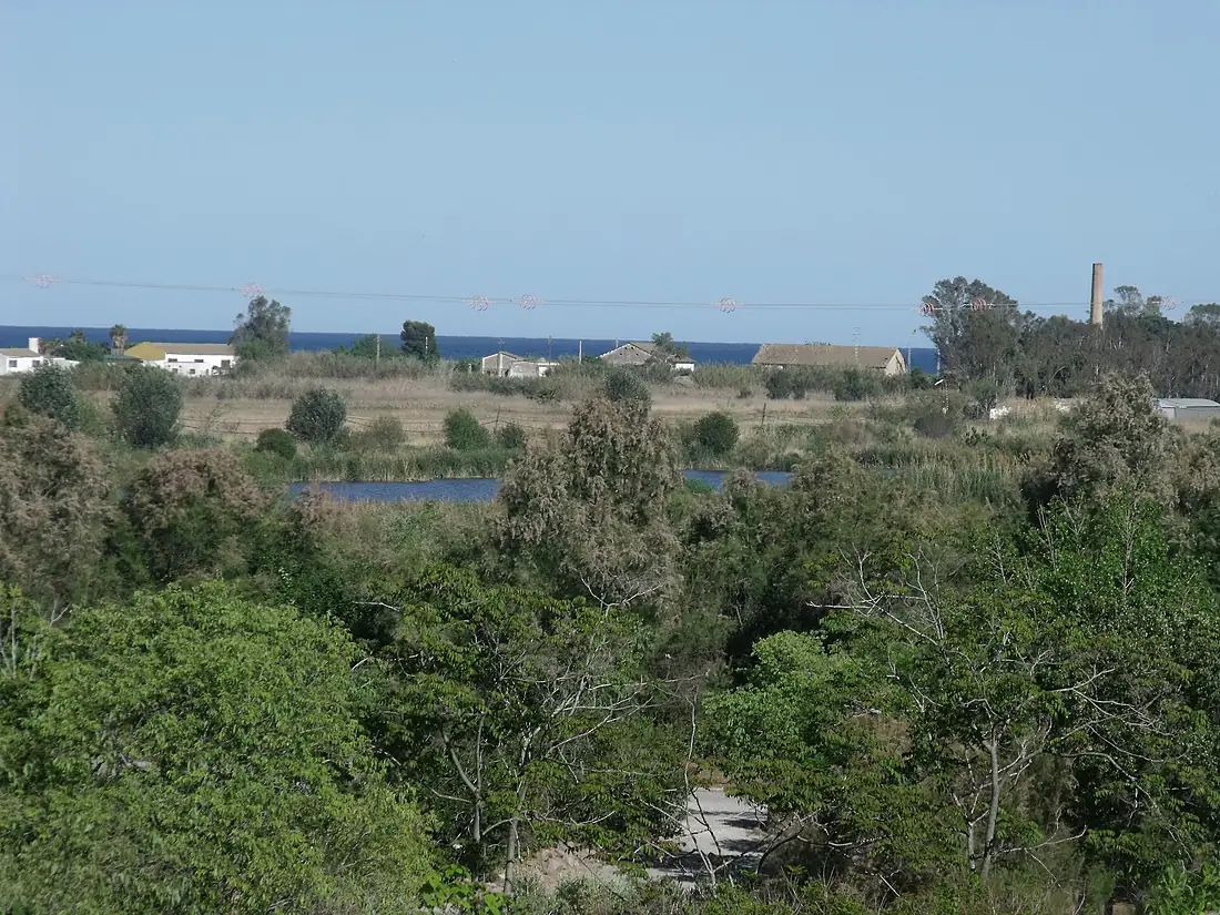 Almenara 38