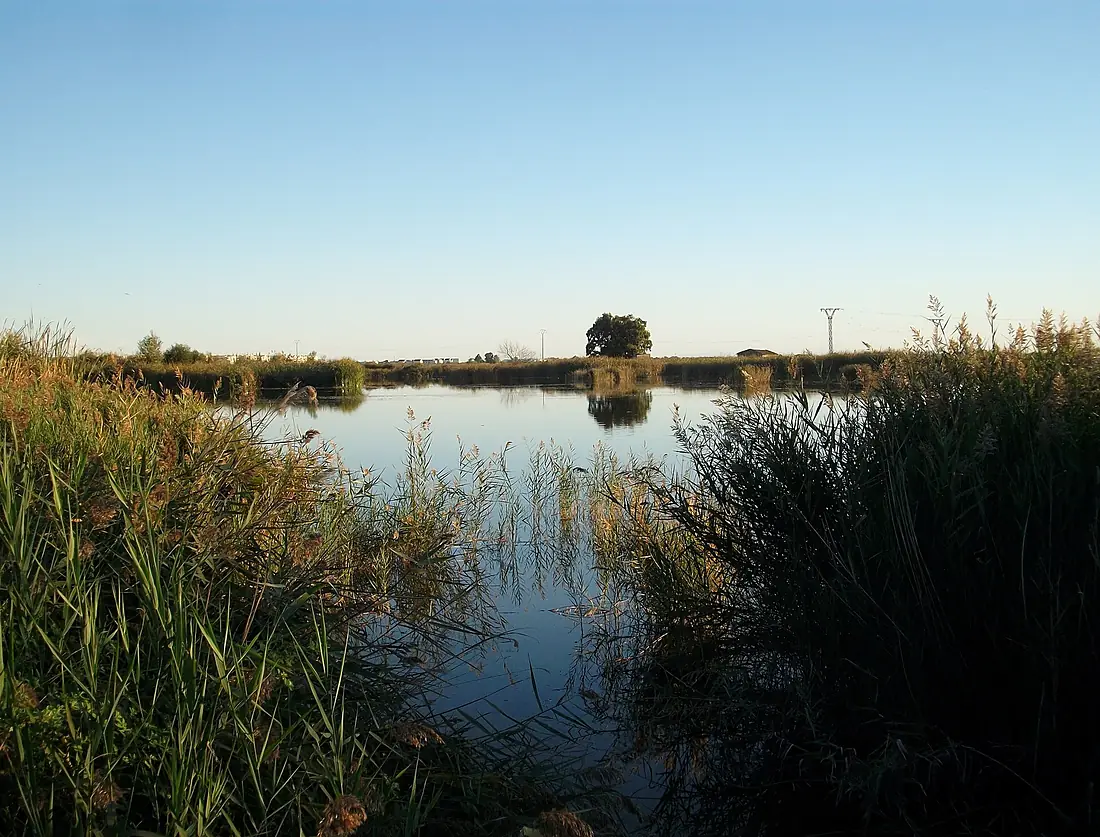Almenara, Plana Baixa, estanys