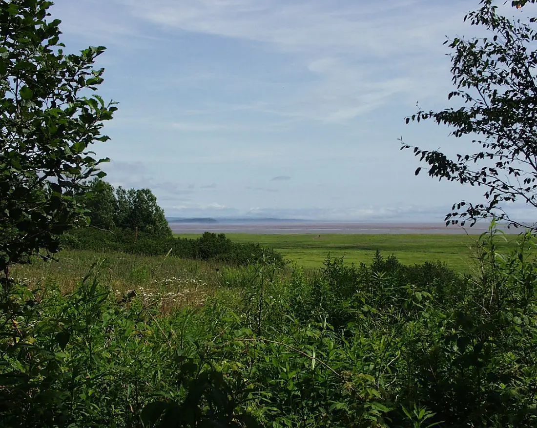 Réserve nationale de faune de Shepody - Mary's Point